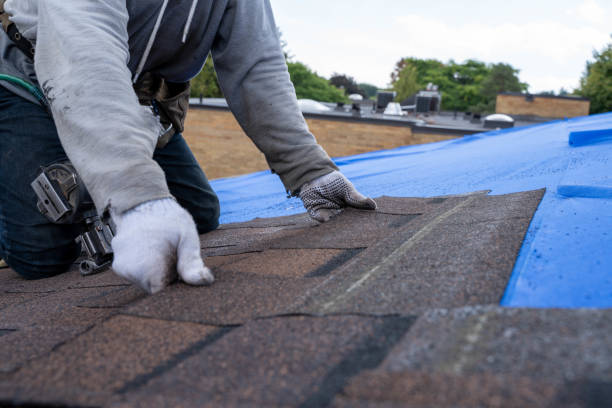 Best Roof Gutter Cleaning  in Forsyth, IL
