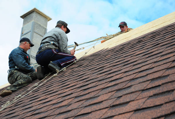 Best Commercial Roofing Services  in Forsyth, IL