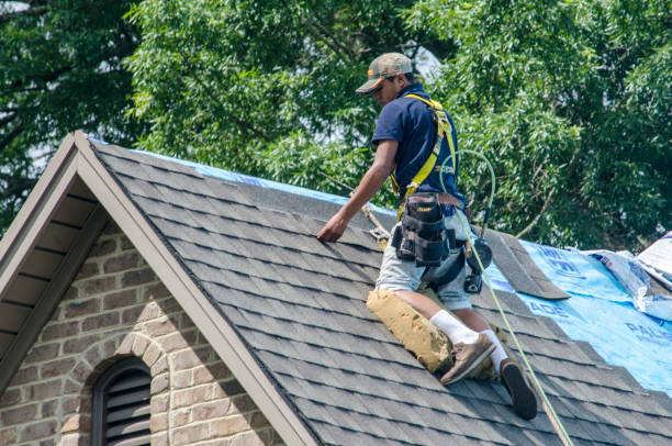 Best Gutter Installation and Roofing  in Forsyth, IL